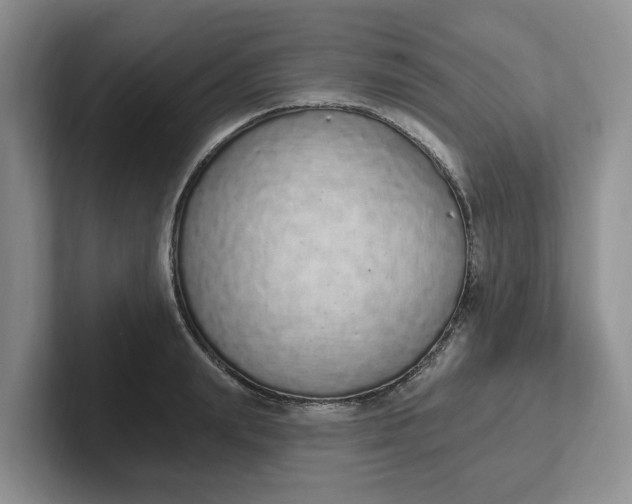 X0000102290847200808081521