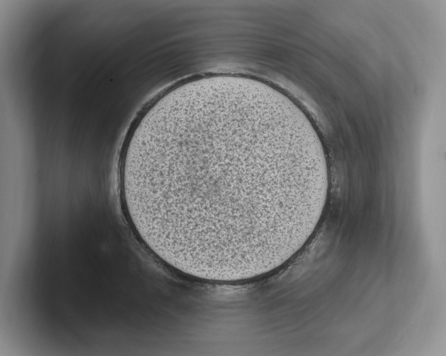 X0000102290848200808081521