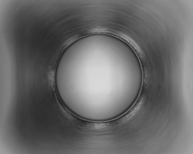 X0000102290849200808081521