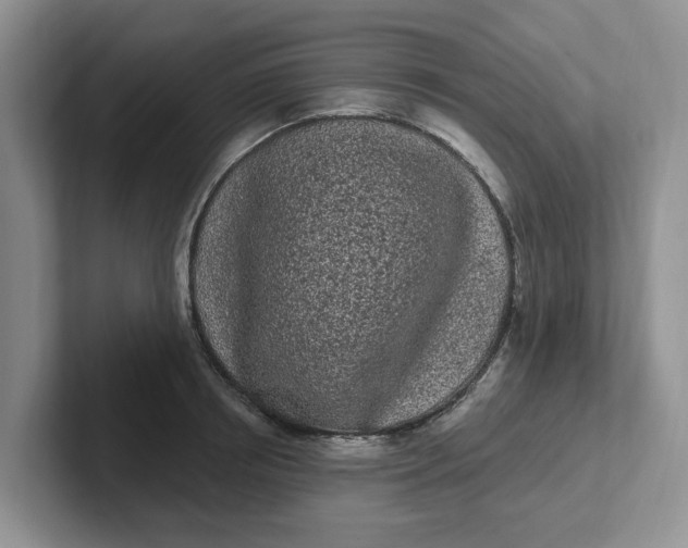 X0000102290850200808081521