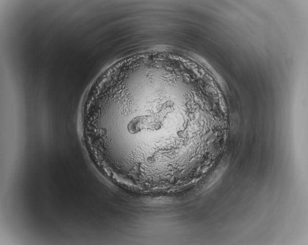 X0000102290851200808081521