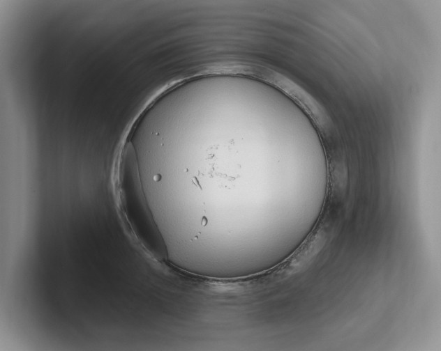 X0000102290852200808081521