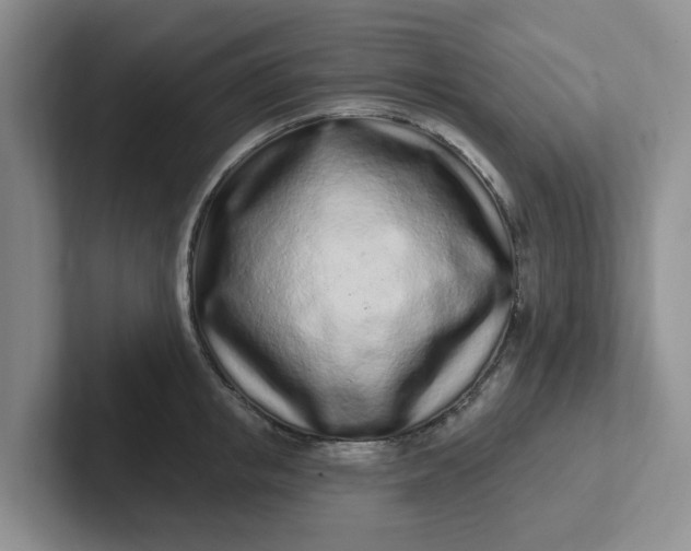 X0000102290853200808081521