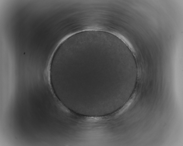 X0000102290854200808081521