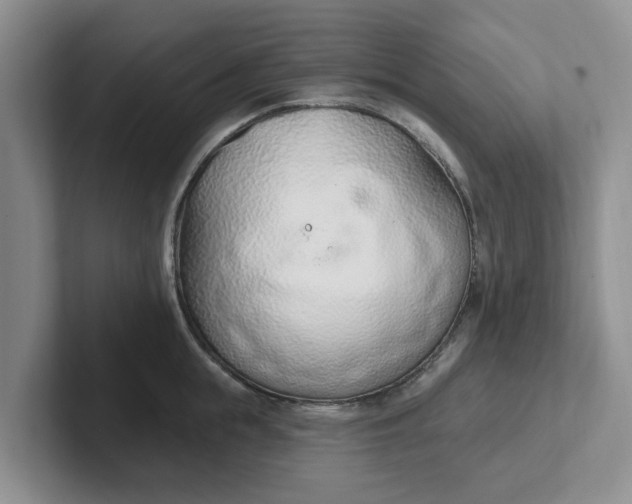 X0000102290855200808081521