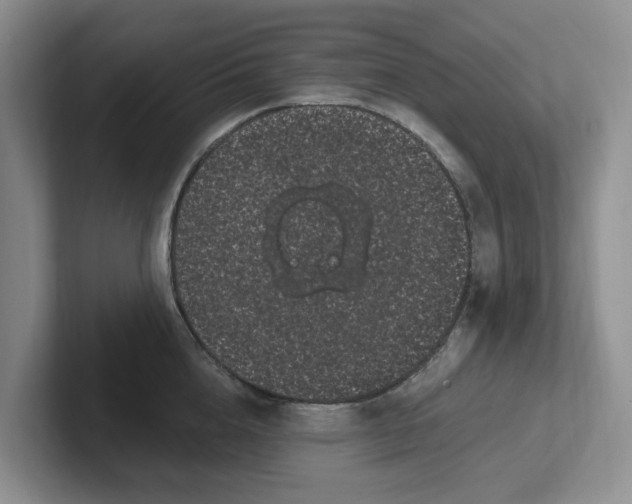 X0000102290856200808081521