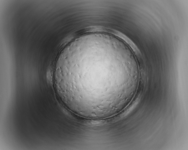 X0000102290857200808081521