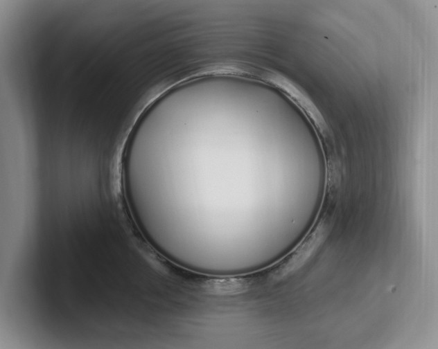 X0000102290858200808081521