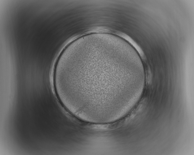 X0000102290861200808081521