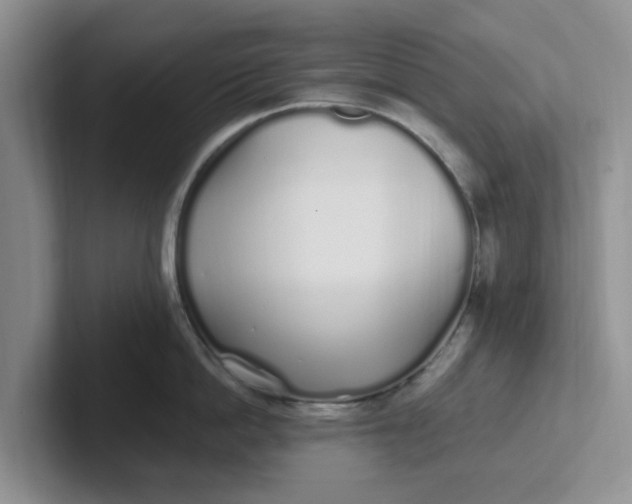 X0000102290862200808081521