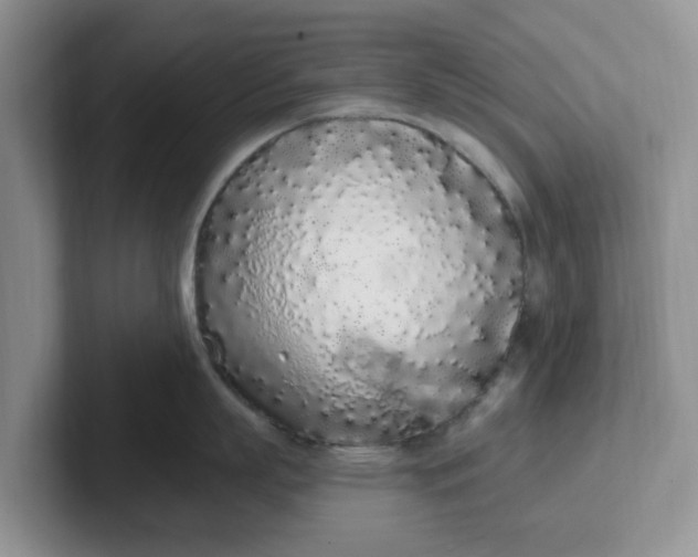 X0000102290863200808081521