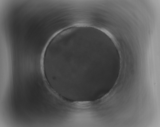 X0000102290864200808081521