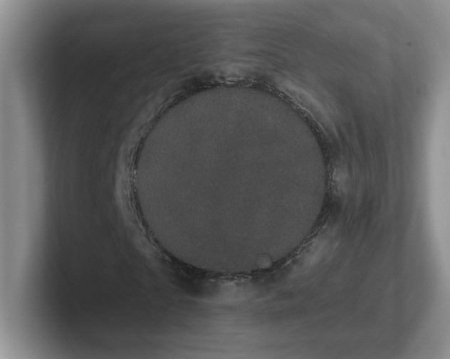 X0000102290865200808081521