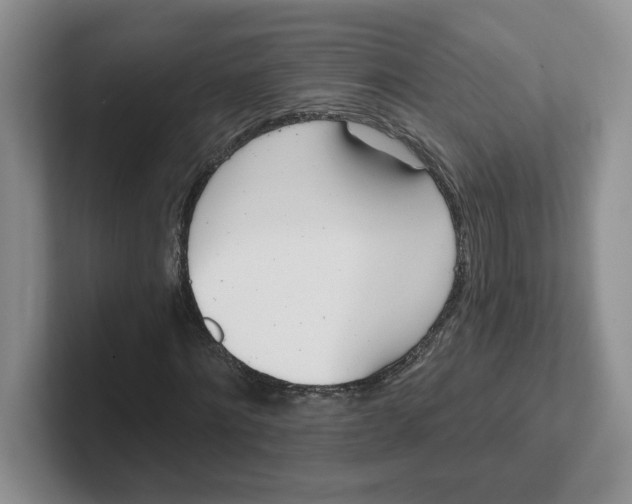 X0000102290868200808081521