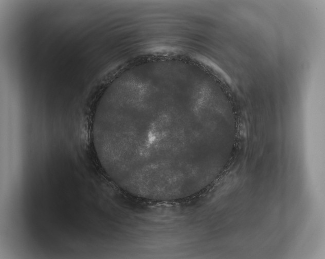 X0000102290869200808081521