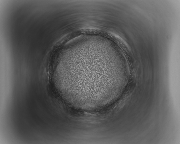 X0000102290870200808081521