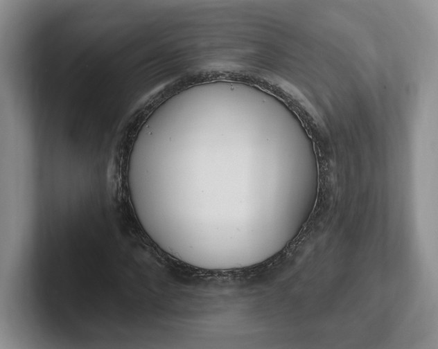 X0000102290872200808081521