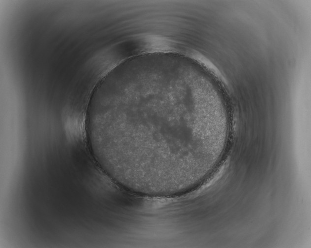 X0000102290873200808081521