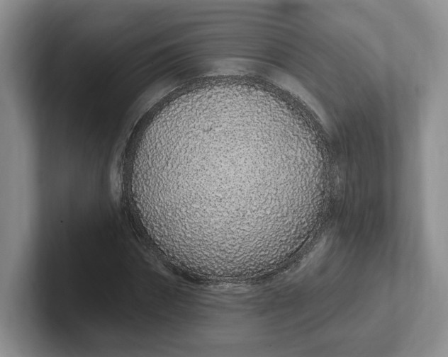 X0000102290874200808081521