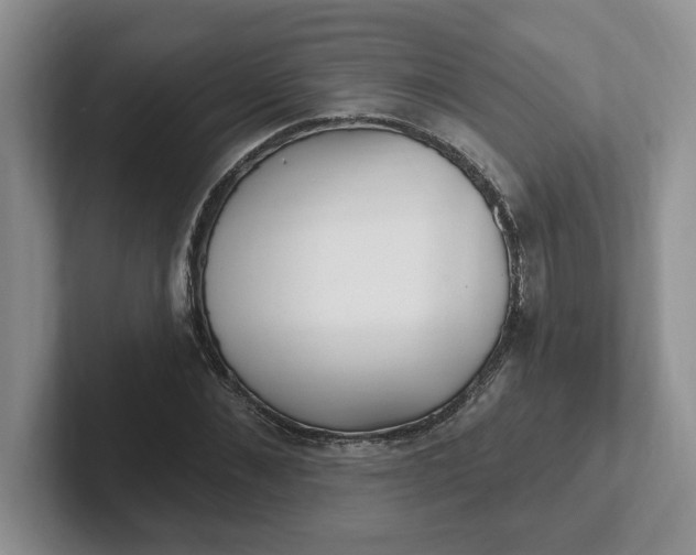 X0000102290876200808081521