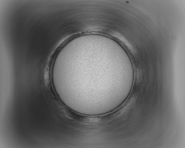 X0000102290878200808081521