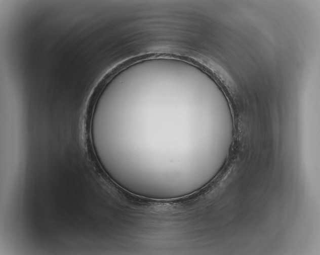 X0000102290880200808081521