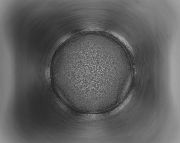 X0000102290881200808081521