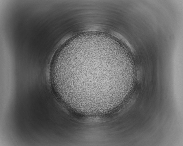 X0000102290882200808081521