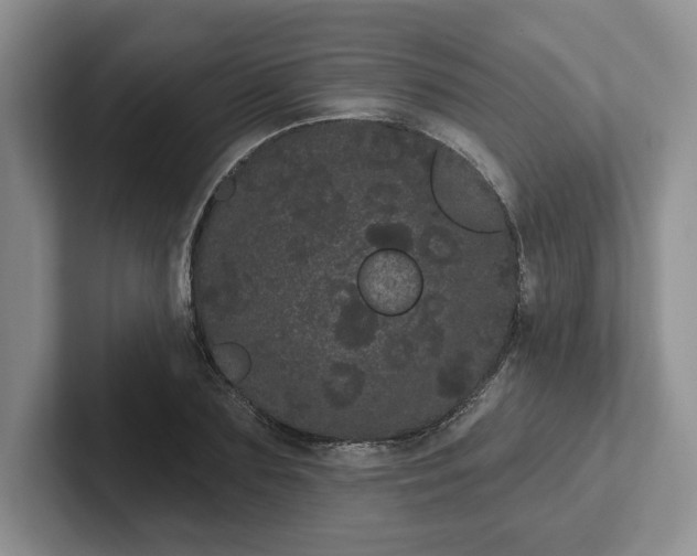 X0000102290883200808081521