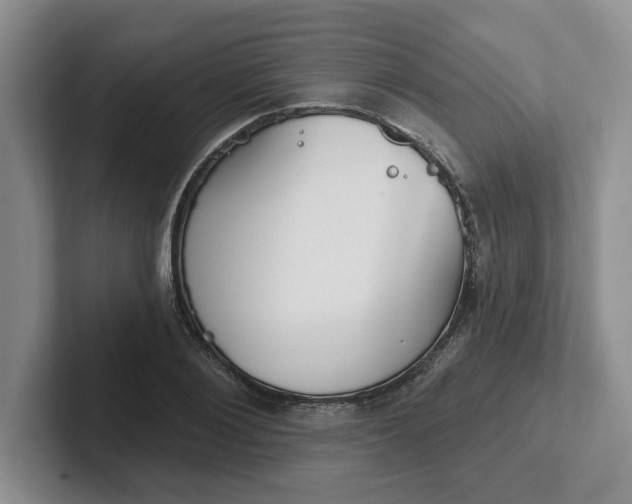 X0000102290884200808081521