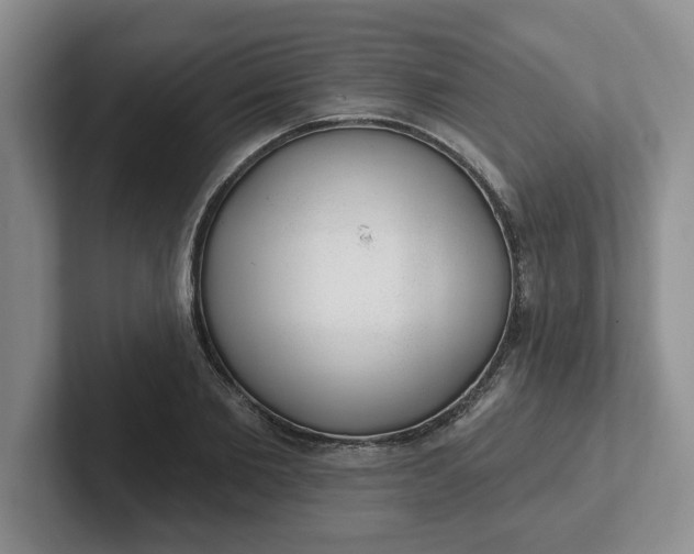 X0000102290885200808081521