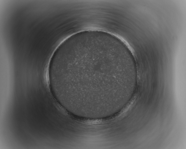 X0000102290887200808081520