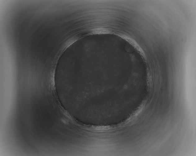 X0000102290889200808081520