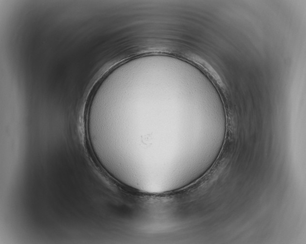 X0000102290890200808081520