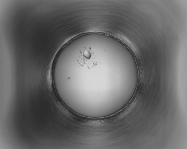 X0000102290892200808081520