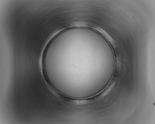 X0000102290893200808081520