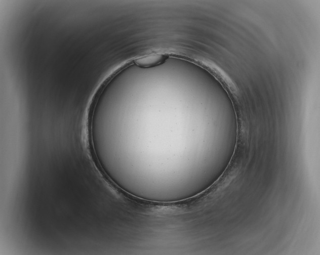 X0000102290894200808081520