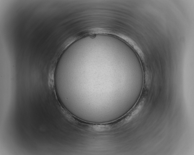 X0000102290897200808081520