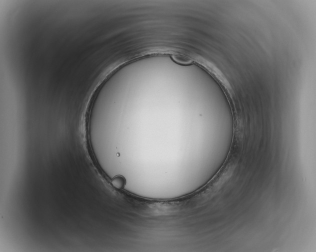 X0000102290898200808081520