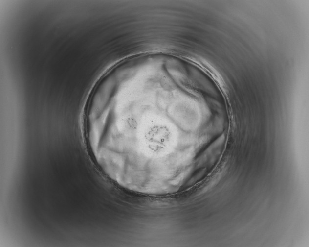 X0000102290899200808081520