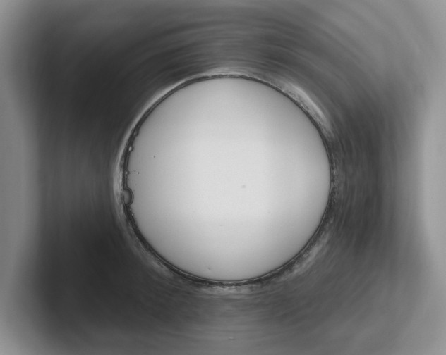 X0000102290900200808081520