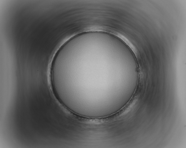 X0000102290901200808081520