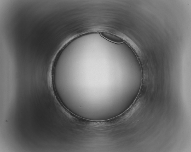 X0000102290902200808081520