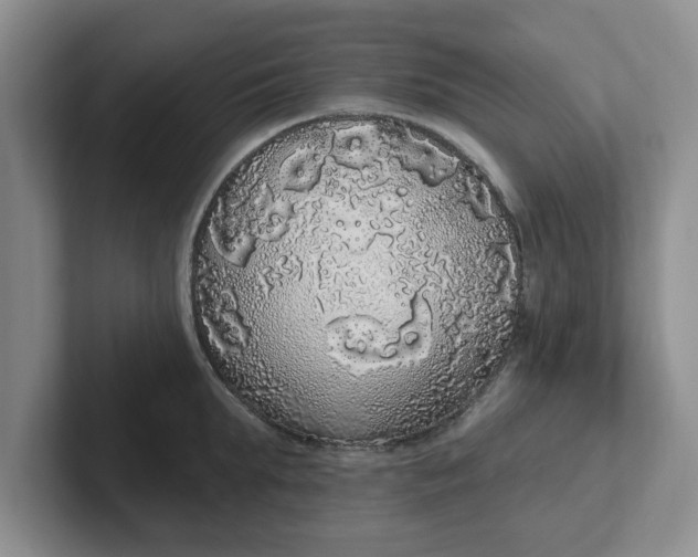 X0000102290903200808081520