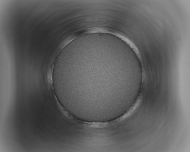 X0000102290905200808081520