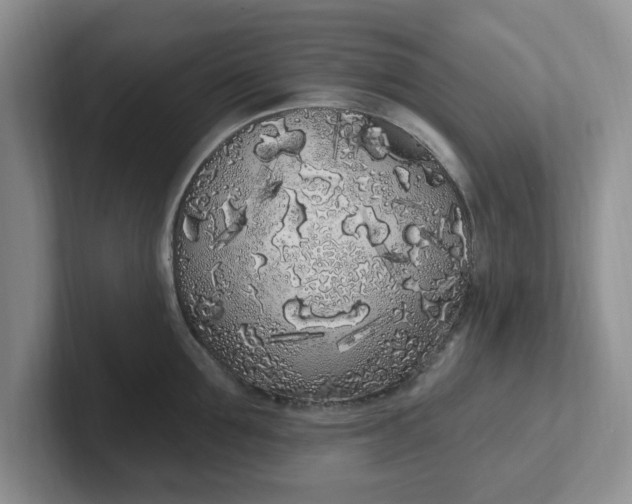 X0000102290907200808081520