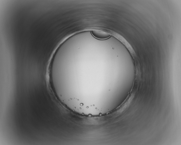 X0000102290908200808081520