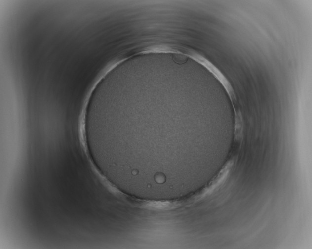 X0000102290909200808081520