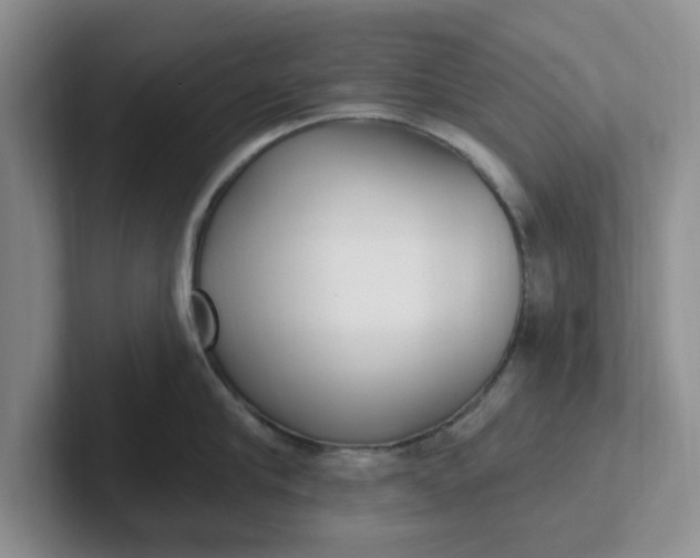 X0000102290910200808081520