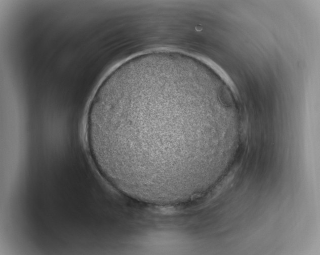 X0000102290911200808081520